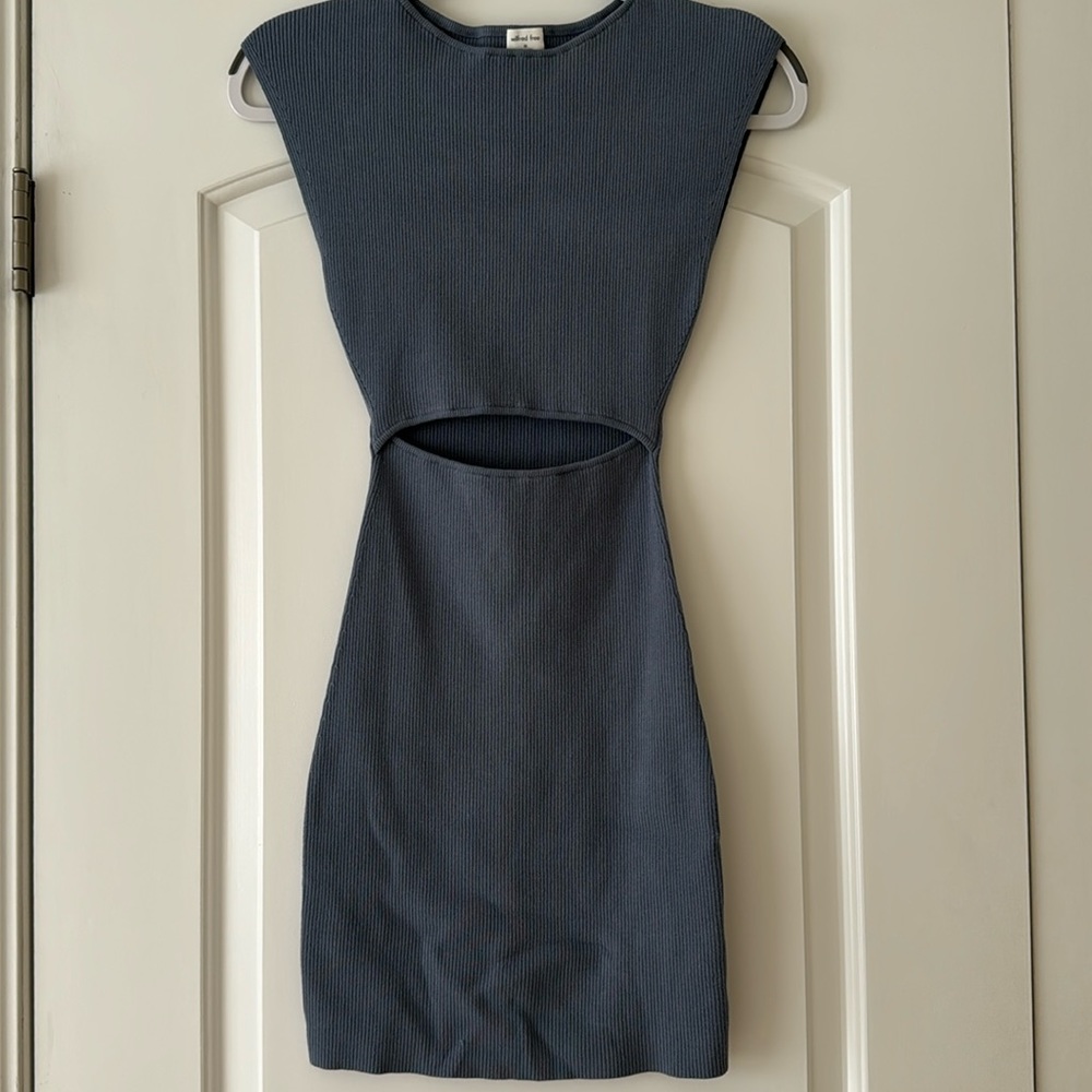 Aritzia Dress